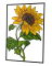 Skladaný Obraz - Slnečnica
